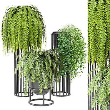  Indoor Plants Set 3D Models 3D model image 1 