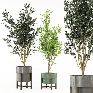 3D Indoor Plants Set 467 3D model image 1 