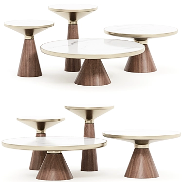 Luxuriously Designed Coffee Table set