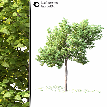 Lush 3D Tree Model Corona 3D model image 1 