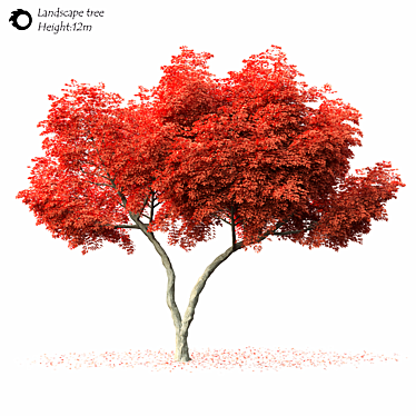 Corona Tree 3D Model FBX 3D model image 1 