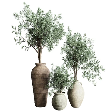 Old Earthenware Vase Olive Tree 3D model image 1 