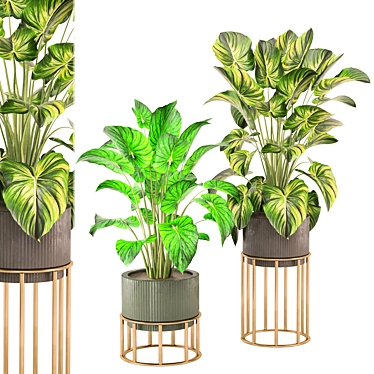 Joyful Indoor Plants Collection 478 3D model image 1 