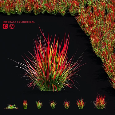 Decorative Imperata Grass Set 3D model image 1 