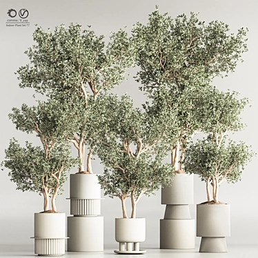 Modern Indoor Plant Set 3D Model 3D model image 1 