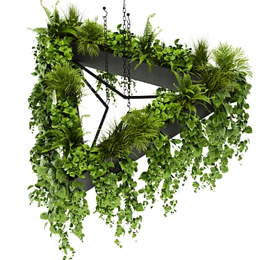 Exquisite Pothos Hanging Plant 3D model image 1 