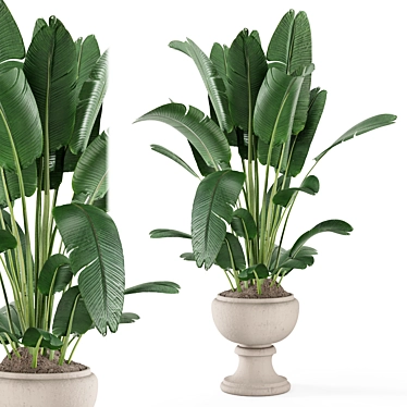 Modern Indoor Plants in Concrete 3D model image 1 