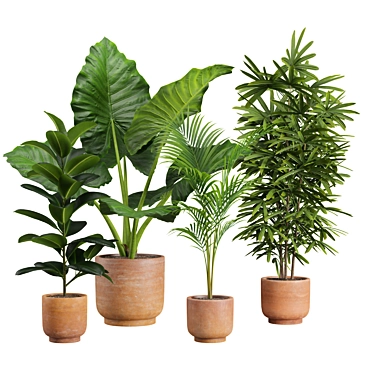 Exotic Indoor Plants Pack 26 3D model image 1 