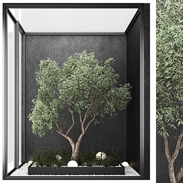  Indoor Plant Set 02: Foliage 3D model image 1 