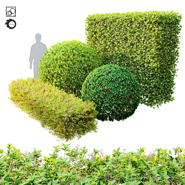 Versatile Topiary Scatter Bushes 3D model image 1 