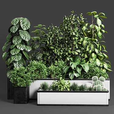 Plant Box Set 3D Models 3D model image 1 