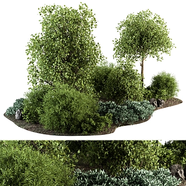 Outdoor Plants 442 (Corona) Vray 3D model image 1 