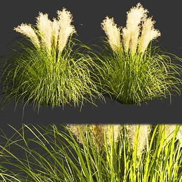  High-Quality Outdoor Grass Collection 3D model image 1 