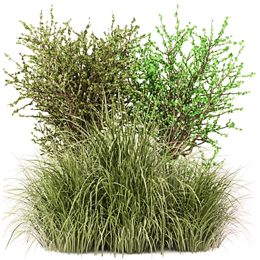 Outdoor Bush Plant Models Set 3D model image 1 