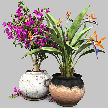 Tropical Flowers 3D Model Set 3D model image 1 