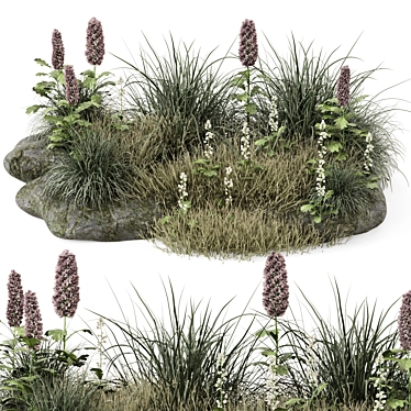 Outdoor Plants Bush 3D Model 3D model image 1 