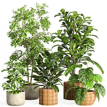 33-Piece Indoor Plant Set 3D model image 1 