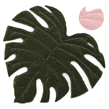 Carpet Leaf Monstera