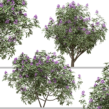 Rhododendron Ponticum Trio Live Plants 3D model image 1 