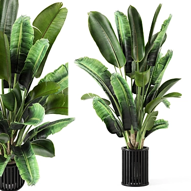 Metal Pot Indoor Plants Set 3D model image 1 