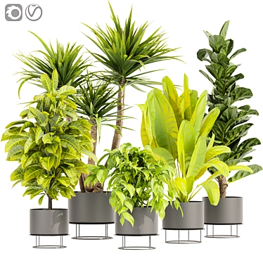 Premium Indoor Plant Collection 3D 3D model image 1 