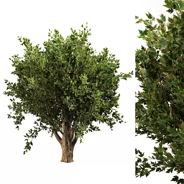 Dimensional Millimeter Tree Sculpture 3D model image 1 