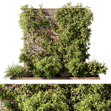 Ivy Wall Garden Set 461 3D model image 1 