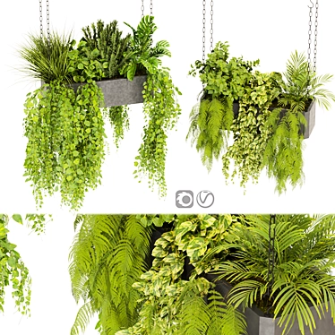 Pothos Ampelous Hanging Plant Model 3D model image 1 