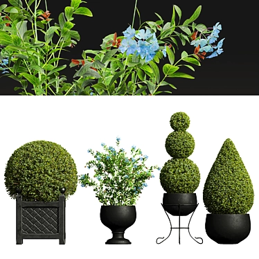 Bleiwurz & Concinna Bonsai Bundle 3D model image 1 