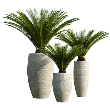 Sago Palm in Cement Planter 3D model image 1 