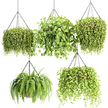 Organic Hanging Plants Collection Vol.142 3D model image 1 