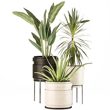 Exotic Indoor Plant Set 3D model image 1 