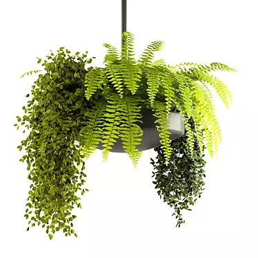  Modern Hanging Plant Decor 3D model image 1 