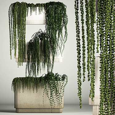 Rhipsalis & Succulent Hanging Wall Garden 3D model image 1 