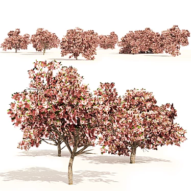 Pink Prunus Peach Tree Model 3D model image 1 