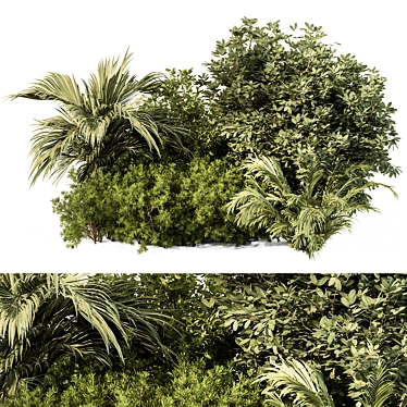 Assorted Foliar Foliage Collection 3D model image 1 