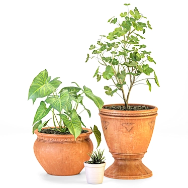 "Italian Herb Trio Set 3D model image 1 