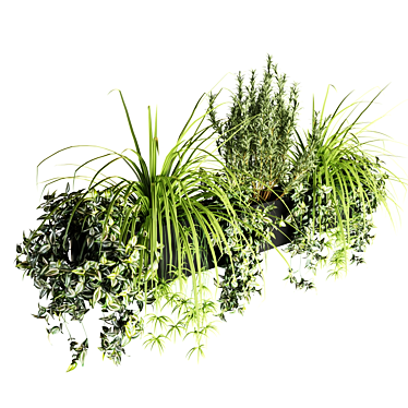 Vertical Wall Plants in Rectangular Planter 3D model image 1 