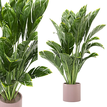 Modern Indoor Plants Set 547 3D model image 1 