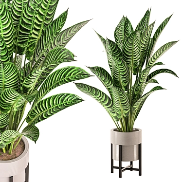 Modern Indoor Plants Collection 551 3D model image 1 