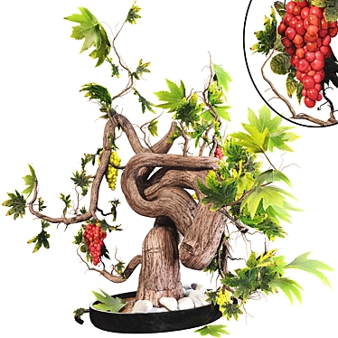 Grape Bonsai 3D Model Kit 3D model image 1 