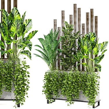 Indoor Plants Collection - 3D Models 3D model image 1 