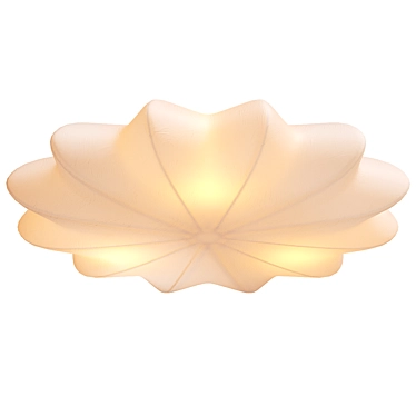 NORNA Ceiling Lamp Model 3D model image 1 