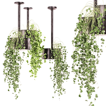 Metal Box Hanging Plants Set 3D model image 1 