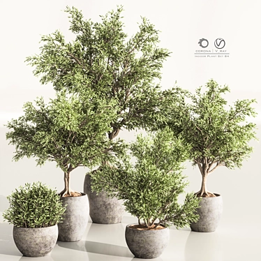 Versatile Indoor Plant Set 84 3D model image 1 