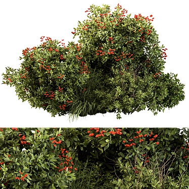 Berry Bush Set 97: Garden Delight 3D model image 1 