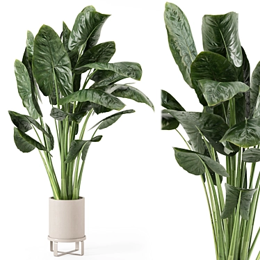 Ferm Living Bau Pot Indoor Plants 3D model image 1 