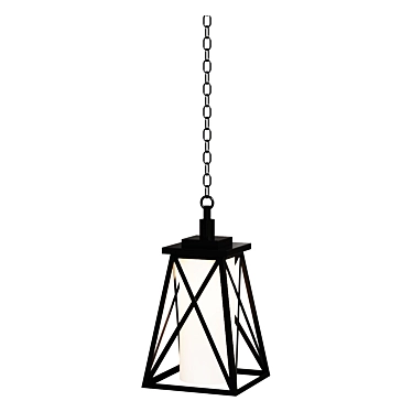 Outdoor Pendant Light Fixture "Braith 3D model image 1 