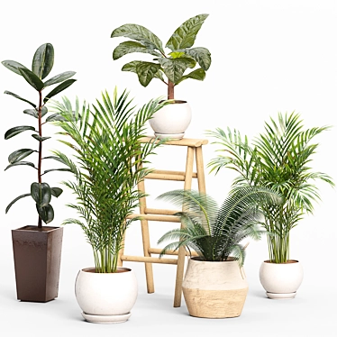 Green Oasis Indoor Plants Set 3D model image 1 