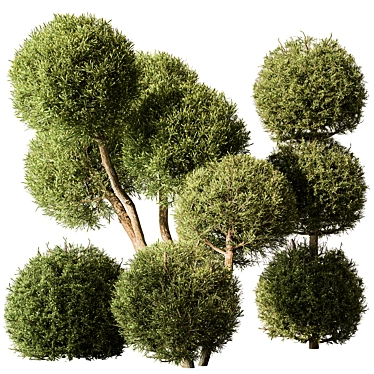 Handcrafted Boxwood Topiary Bush Set 3D model image 1 